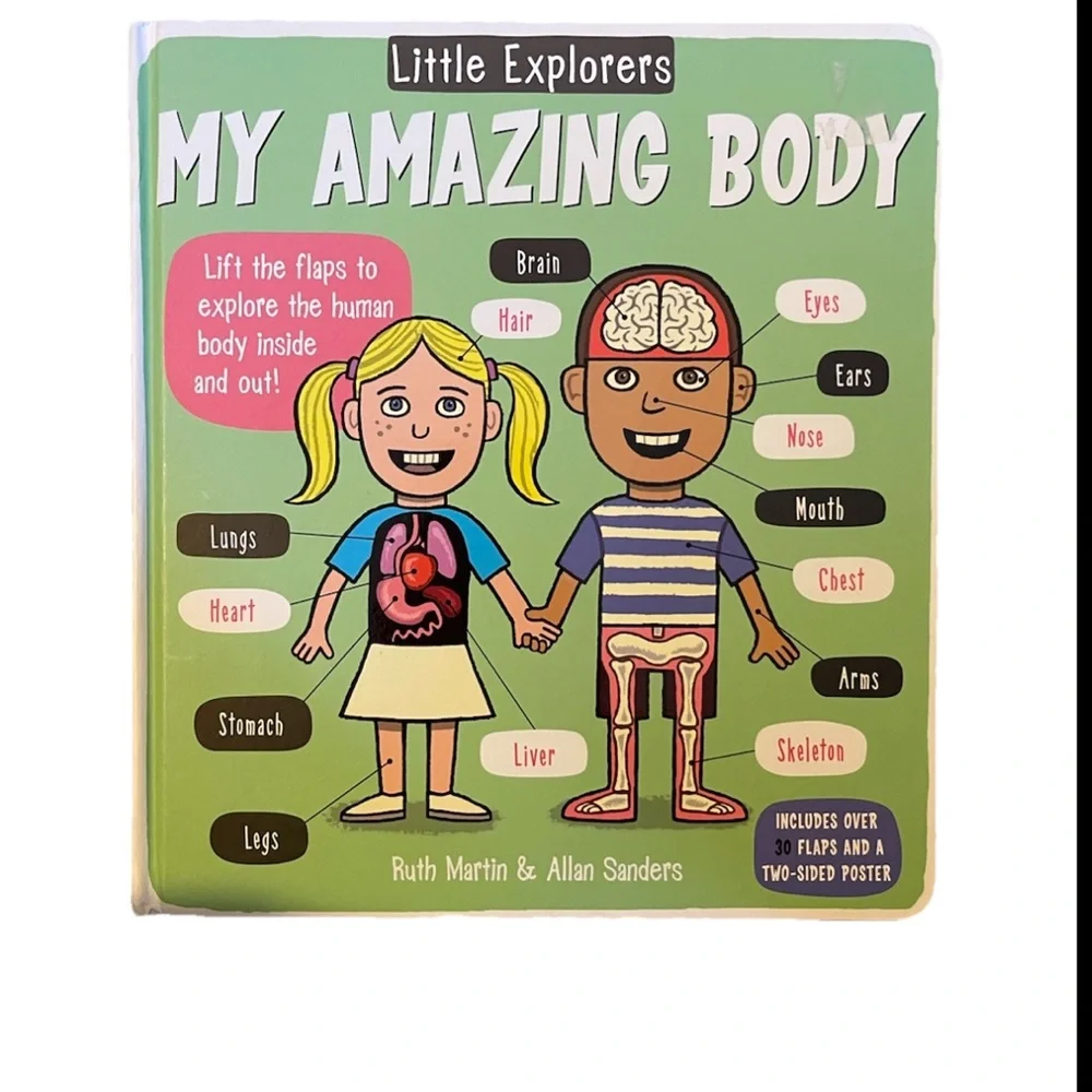 Little Explorers: My Amazing Body  flip tab learning book